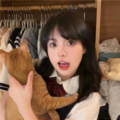 萌犬偷渡记