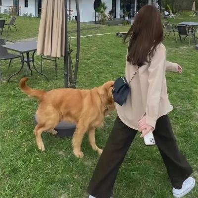 借镜杀人
