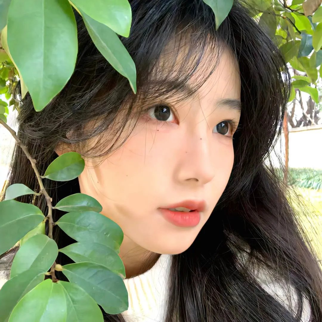 美丽拳王